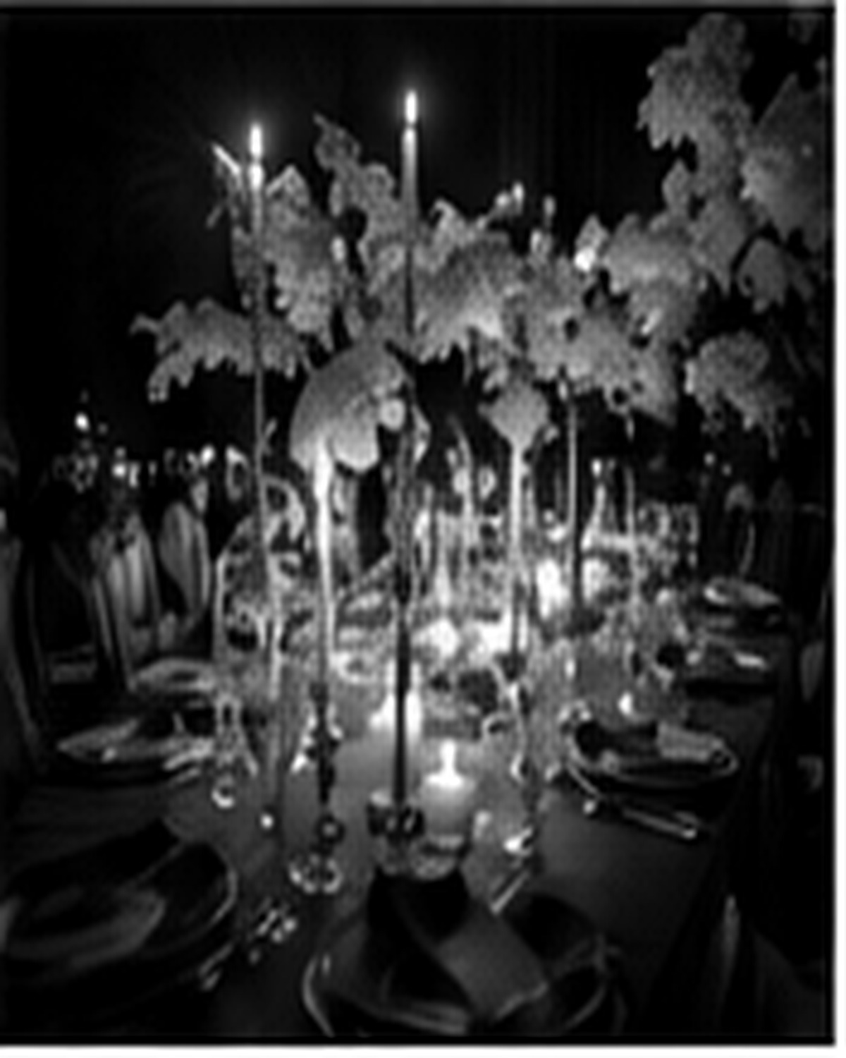 Experiencia exclusiva en blanco y negro